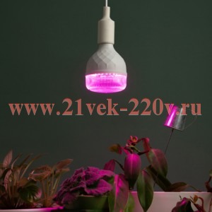 Лампа светодиодная GREEN LINE ФИТО-35W-PL-E27-GR 35Вт E27 для растений красн./син. спектра Эра Б0064