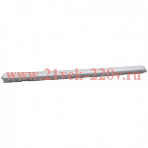 Линейный светодиодный светильник ЭРА SPP-211-0-65K-048 48Вт 6500К 4560Лм IP65 1200 матовый