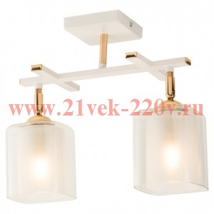 Светильник потолочный Rivoli Helga 3100-302 2 * Е27 40 Вт модерн
