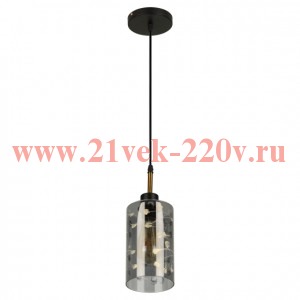 Светильник подвесной (подвес) Rivoli Eileen 9154-201 1хЕ27 60 Вт модерн