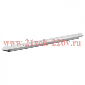 Светильник светодиодный SPP-202-0-40K-L18 18Вт 4000К IP65 600мм матов. Эра Б0066940