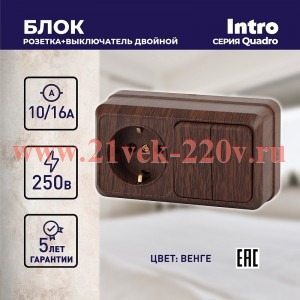 Блок розетка с выключателем Intro Quadro 2-702-10 двойным горизонтальный 10(16)А-250В, IP20, ОУ, вен