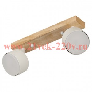 Светильник настенно-потолочный спот Rivoli Vivian 7078-702 2хGX53 15 Вт поворотный