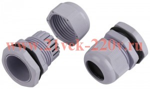 Ввод кабельный (сальник) PG 25 (d отв. 31мм / d провод.16-21мм) IP54 (уп.15шт) ЭРА Б0065202