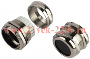 Ввод кабельный (сальник) латунный PGM 42 (d отв. 54мм / d провод.32-38мм) IP68 (уп.2шт) ЭРА Б0065213