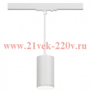 Трековый светильник однофазный ЭРА TR45-GU10 S WH подвесной под лампу GU10 белый