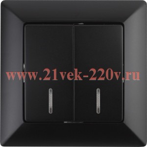 Выключатель Intro Solo 4-105-05 двухклавишный с подсветкой, 10А-250В, IP20, СУ, Solo, антрацит