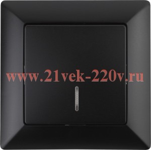 Выключатель Intro Solo 4-102-05 одноклавишный с подсветкой, 10А-250В, IP20, СУ, антрацит