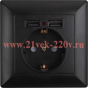 Розетка Intro Solo 4-410-05 с заземлением P+E Schuko со шторками, 16А-250В + 2хUSB, IP20, СУ, антрац