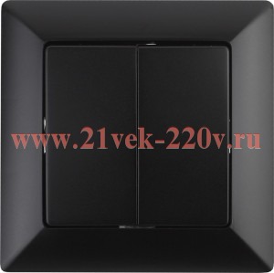 Переключатель Intro Solo 4-107-05 двухклавишный, 10А-250В, IP20, СУ, антрацит