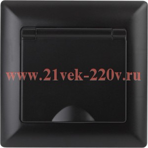 Розетка Intro Solo 4-203-05 с заземлением 2P+E Schuko с крышкой, 16А-250В, IP20, СУ, антрацит