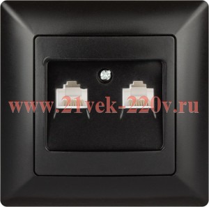 Розетка Intro Solo 4-304-05 информационная 2хRJ45, СУ, антрацит