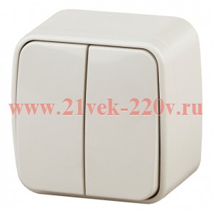 Выключатель Intro Polo 3-104-02 двухклавишный, 10A-250В, IP20, ОУ, слоновая кость