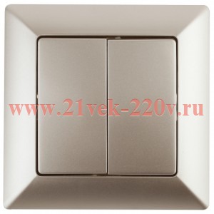 Переключатель Intro Solo 4-107-04 двухклавишный, 10А-250В, IP20, СУ, шампань