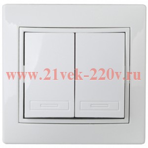 Выключатель Intro Plano 1Э-104-01 двойной, 10А-250В, IP20, СУ, без лапок, белый