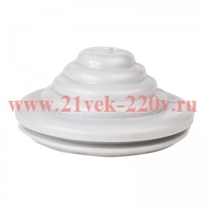 Сальник d22мм (Dотв бокса 25мм) КЭАЗ 386808