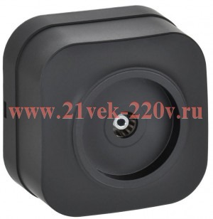 Розетка телевизионная ИЭК GLORY открытой установки РТВ20-ХЧм черный матовый EAH10-K02M