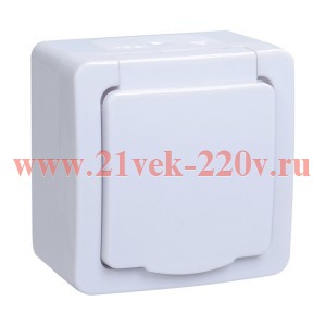 Розетка ИЭК Гермес Plus 2П+3 РСб20-3-ГПБб IP54 белый ERMP12-K01-16-54-EC