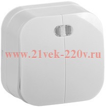 Выключатель 2-клавишный с индикацией открытой установки 10А ВС20-2-1-ХБ GLORY IEK белый EVH21-K01-10