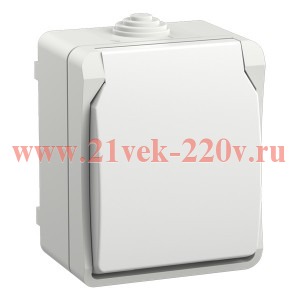 Розетка одноместная 2П+3 для открытой установки ИЭК ФОРС РС620-3-ФБ IP54 белый ERS12-K01-16-54-DC