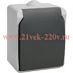 Розетка одноместная 2П+3 для открытой установки ИЭК ФОРС РС620-3-ФСр IP54 серый ERS12-K03-16-54-DC