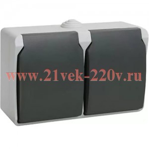 Розетка двухместная 2х2П+3 для открытой установки ИЭК ФОРС РС622-3-ФСр IP54 серый ERS22-K03-16-54-DC
