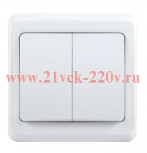 Выключатель 2-клавишный ИЭК ВЕГА 10А белый (ВС10-2-0-ВБ) EVV20-K01-10-DM