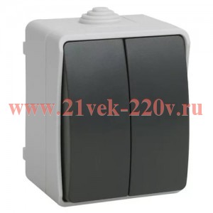 Выключатель двухклавишный для открытой установки ИЭК ФОРС ВС20-2-0-ФСр IP54 серый EVS20-K03-10-54-DC