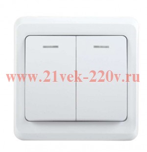 Выключатель 2-клавишный ИЭК ВЕГА 10А с индикацией белый (ВС10-2-1-ВБ) EVV21-K01-10-DM