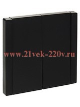 Переключатель двухклавишный ИЭК FORTE&PIANO FP107 10А черный FP-V22-0-10-1-K02
