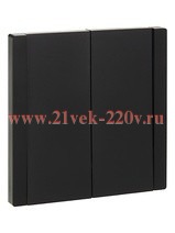 Выключатель двухклавишный с индикацией ИЭК FORTE&PIANO FP106 10А черный FP-V20-1-10-1-K02