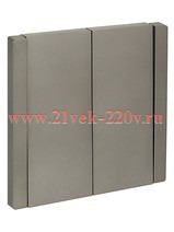Переключатель двухклавишный ИЭК FORTE&PIANO FP507 10А сталь FP-V22-0-10-1-K46