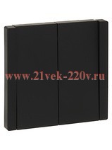 Переключатель двухклавишный с индикацией ИЭК FORTE&PIANO FP108 10А черный FP-V22-1-10-1-K02