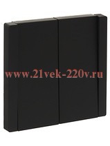 Выключатель двухклавишный ИЭК FORTE&PIANO FP105 10А черный FP-V20-0-10-1-K02