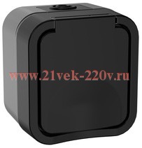 Розетка 2П+3 с крышкой и шторками 16А IP55 TS120 TORS IEK графит