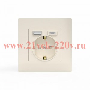 Розетка 1-м СП Pixel с заземл. с 2-мя заряд. устр. USB тип A+C IP20 механизм беж. TOKOV ELECTRIC TKE