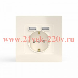 Розетка 1-м СП Pixel с заземл. с 2-мя заряд. устр. USB тип A+A механизм беж. TOKOV ELECTRIC TKE-PX-R