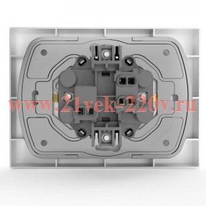 Розетка 2-м СП Pixel 16А IP20 с заземл. защ. шторки в сборе бел. TOKOV ELECTRIC TKE-PX-R2FZSF-C01
