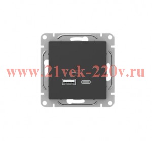 Розетка СП Эпика USB-A+С механизм черн. EKF UP1-SOB-USBA+USBC