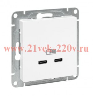 Розетка 2-м СП Эпика USB-C механизм бел. EKF UP1-SOW-2USBC