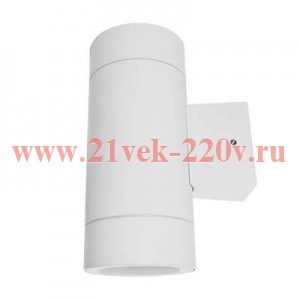 Светильник светодиодный GX53S-2W-ЦИЛИНДР GX53 IP65 230В уличный двусторон. подсветка бел. IN HOME 46