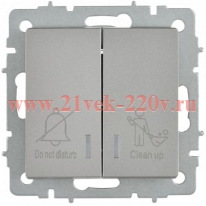 Выключатель 2-кл. BRITE 10А ВС10-2-9-БрС для отелей с индикацией сталь IEK BR-V20-2-10-K46