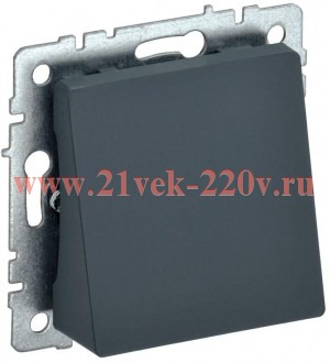 Вывод кабеля ИЭК BRITE графит (МВ10-БрГ) BR-VK10-0-K53