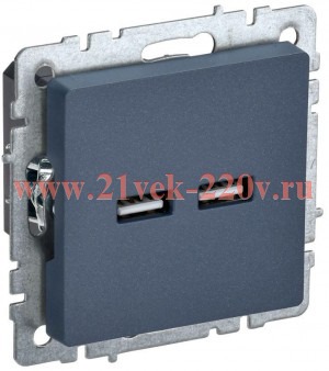 Зарядка ИЭК BRITE USB A+А 3,1А маренго ( РЮ10-1-БрМ) BR-U21-D31-K35