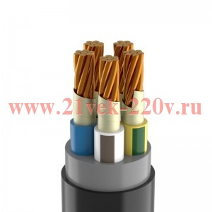 Кабель ППГнг(А)-FRHF 5х25 МК (N PE) 0.66кВ (м) Кабэкс ТХМ00194389