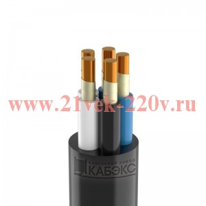 Кабель ППГнг(А)-FRHF 5х6 (N PE) 0.66кВ (м) Кабэкс ТХМ00194386