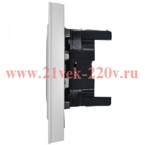 Розетка ИЭК BRITE 2х2P двойная 10А арктический белый в сборе (РС12-2-БрАБ) BR-R20-10-K91-F