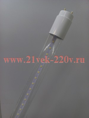 Лампа светодиодная FL-LED T8-1200-П 20W 6500K Ra80(865) G13 (прозрачная 220V, 2140lm, пр-во Россия)