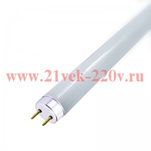Лампа светодиодная Gauss Elementary T8 Glass 600mm 10W 6500K 800Lm G13