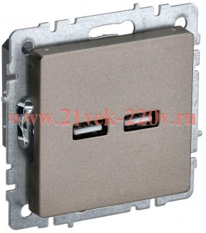 Розетка BRITE USB A+A 3.1А РЮ10-1-БрШ шампань IEK BR-U21-D31-K37